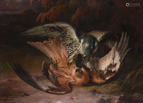 PHILLIP REINAGLE (BRITISH 1749-1833), TWO BIRDS OF PREY FIGH...