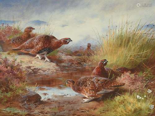 ARCHIBALD THORBURN (BRITISH 1860-1935), RED GROUSE