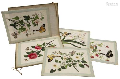 A folder with five antique pith paper paintings of flowers a...