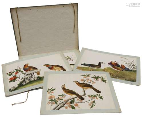 A folder with seven antique pith paper paintings of birds