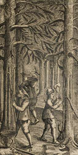 Axt, Johann Conrad Tractatus de arboribus coniferi…