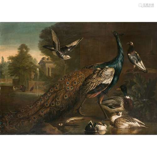 ATTRIBUE A PETER CASTEELS III (1684-1749) PAON ET PIGEONS DA...