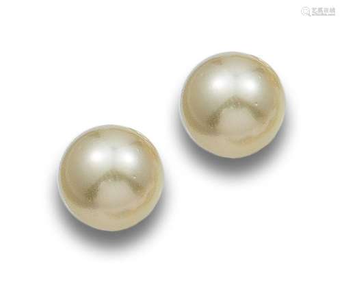 GOLDEN AUSTRALIAN PEARL EARRINGS IN YELLOW GOLD