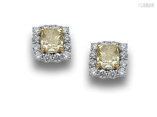ROSETTE EARRINGS OF NATURAL FANCY YELLOW DIAMONDS AND COLORL...