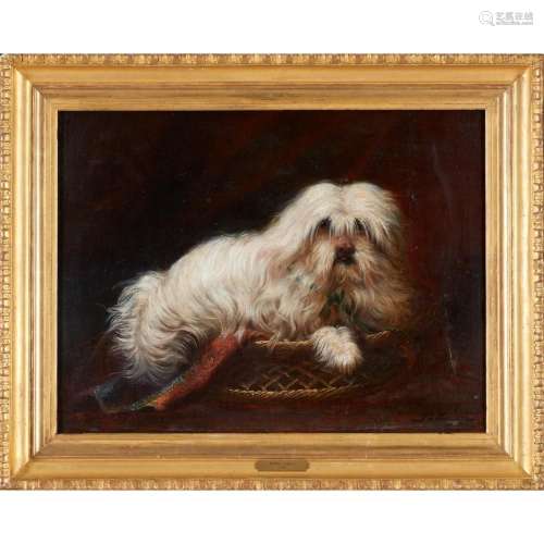 Artist or Maker Pierre Tossyn (séc. XIX) A white dog