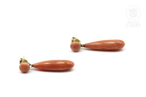 Pair of coral earrings set in 14k yellow gold