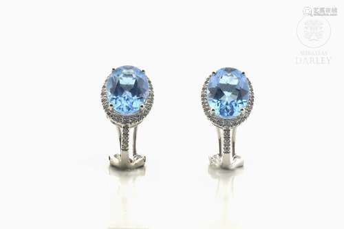 Earrings in 18k white gold and diamonds