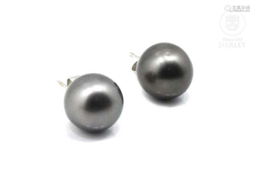 Earrings with Tahitian pearls, in 18k white gold