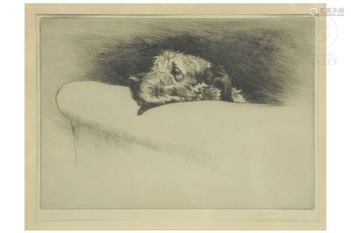 Cecil Aldin (1870 - 1935) "Dog lying on a sofa"