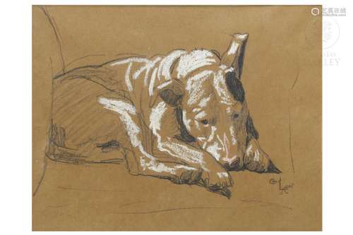 Cecil Aldin (1870 - 1935) "Bull Terrier"