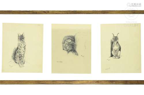 Cecil Aldin (1870 - 1935) Set of three drawings