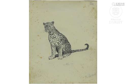 Cecil Aldin (1870 - 1935) atr. "Leopard"