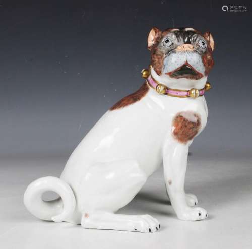 A Dresden porcelain Meissen style model of a pug