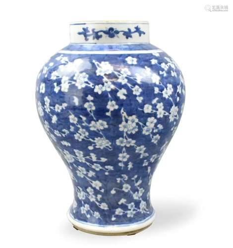 Chinese Blue and White Prunus Jar, Kangxi Period