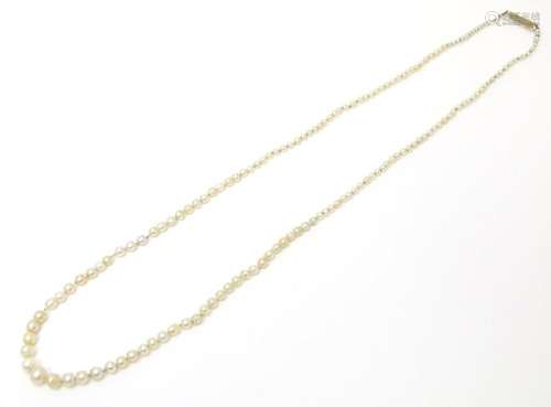 A graduated pearl necklace with yellow metal clasp 20" ...