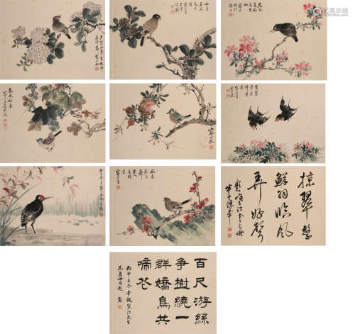 江寒汀 (1904-1963) 花鸟册