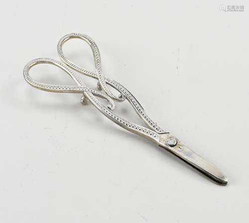 Silver grape scissors