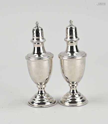 Silver salt and pepper shaker