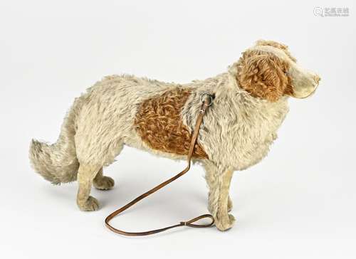 German mohair dog