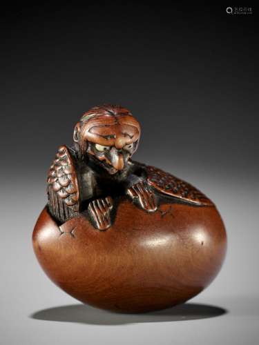 TOYOYO: A FINE WOOD NETSUKE OF A HATCHING TENGU (TENGU NO TO...