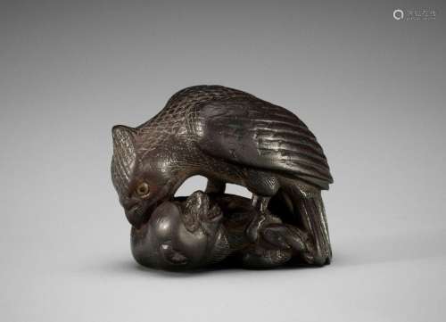 SHINCHUKA: A VERY RARE AND LARGE DARK WOOD NETSUKE OF AN EAG...