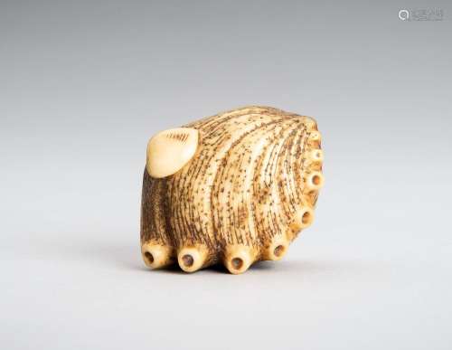 A STAG ANTLER NETSUKE OF AN AWABI AND CLAM
