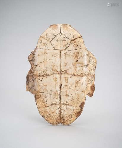 AN INSCRIBED SHANG DYNASTY \'ORACLE BONE\' TURTLE PLASTRON, ...