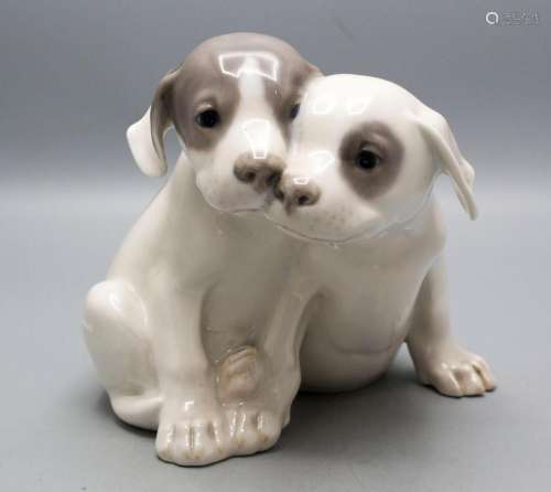 Paar Pointer Welpen / A sitting pair of pointer puppies, Eri...