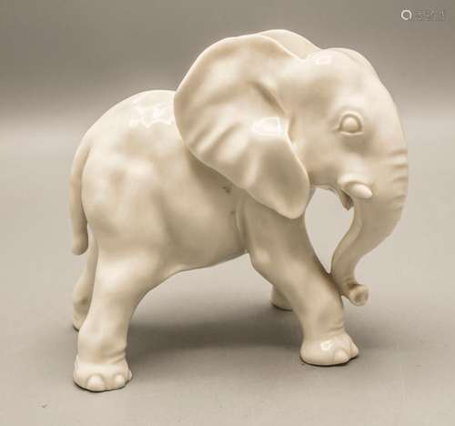 Junger Elefant / A young elephant, Nymphenburg, um 1928