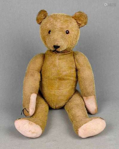 großer hellbrauner Teddy