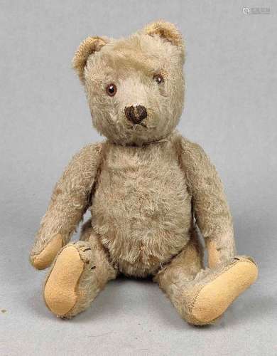 Steiff Teddy 1920er Jahre