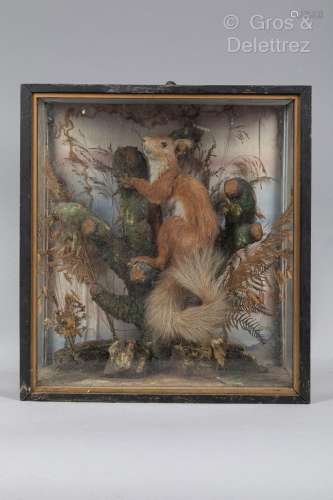 Écureuil naturalisé présenté grimpant sur un tronc d’arbre e...