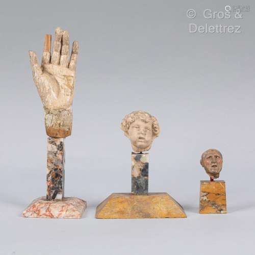 Trois fragments présentés sur socles comprenant une main en ...