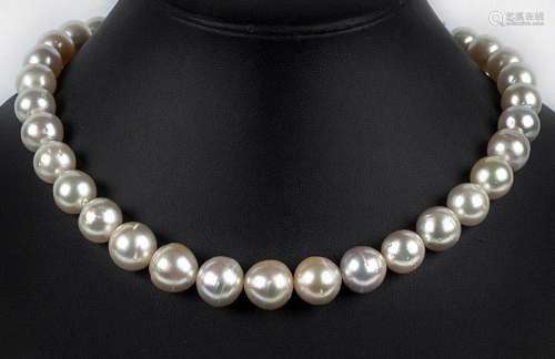 Hilo de 34 bellas perlas australianas, casi-esféricas, en di...