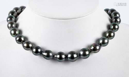 Hilo-chocker de 31 perlas grises de Tahití, de bello oriente...