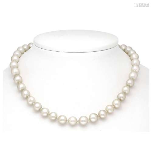 Akoya pearl necklace with lobster