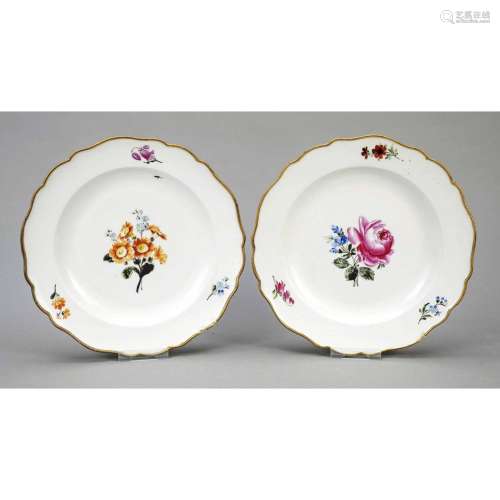 Pair of dinner plates, Meissen, M