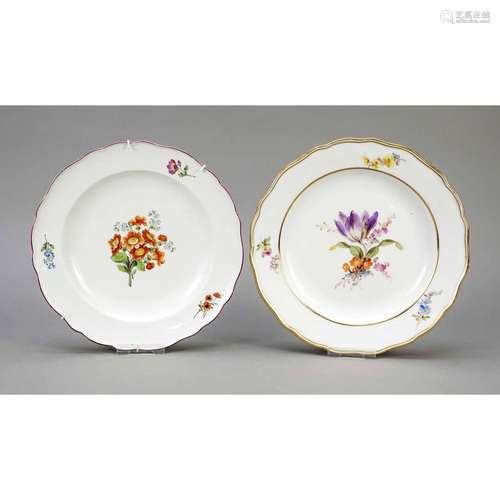 Two dinner plates, Meissen, 1x Ma