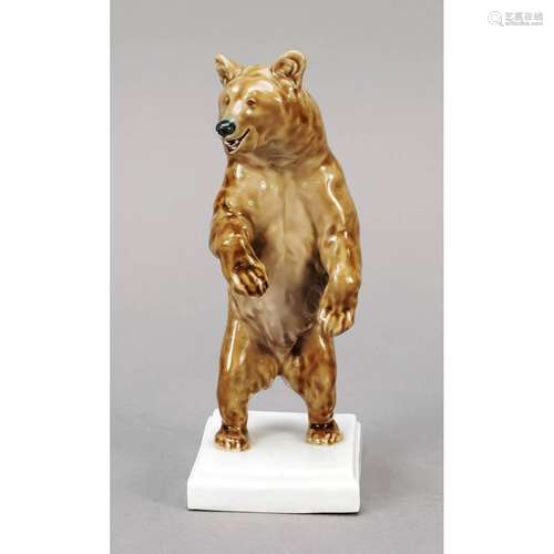 Upright standing bear, Meissen, K