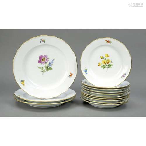 13 plates, Meissen, mark after 19