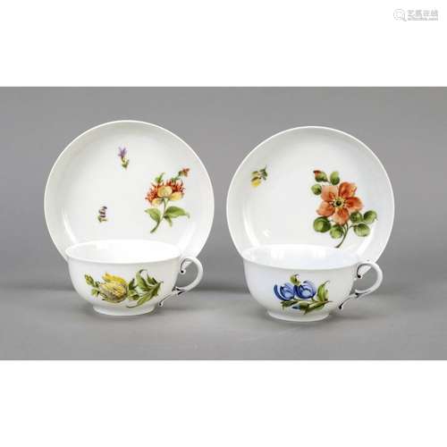 Two tea cups with saucer, Nymphen