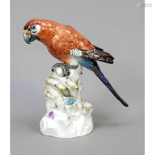 Parrot on a rock branch, Meissen,