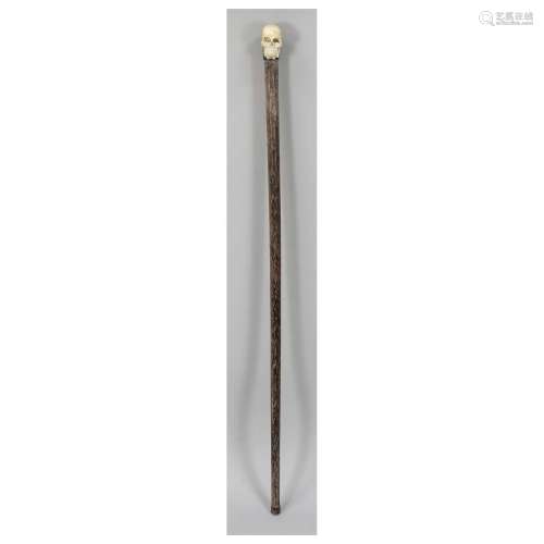 Memento Mori walking stick with sk