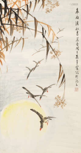 （1910～2008） 吴青霞 1981年作 芦雁图 立轴 设色纸本