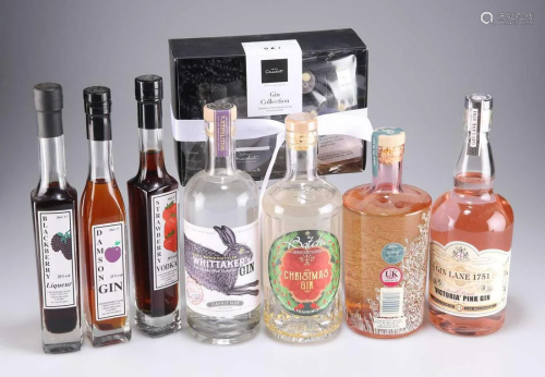 MIXED LOT OF GIN, FRUIT GIN, VODKA AND GIN BASED LIQUEURS, A...