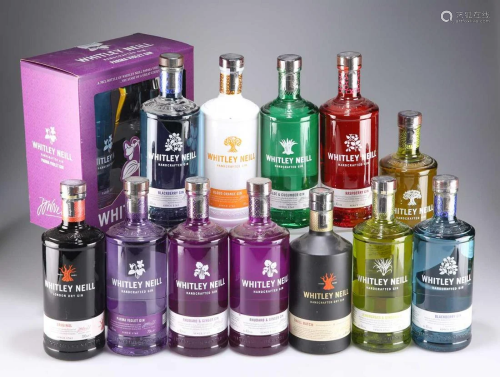 COLLECTION OF WHITLEY NEILL GIN AND FRUIT GIN