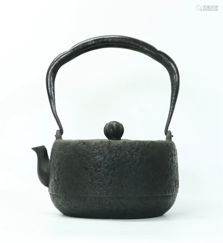 Long Wen Tang Zao: Japanese Iron Tetsubin Teapot