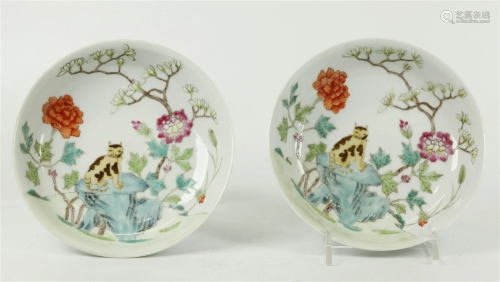 Pair Chinese Qing Cat in Garden Porcelain Plates