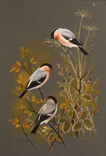 Paul Alexander Nicholas (b.1943) Goldfinches watercolour and...