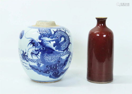 Chinese 19 C Blue White Porcelain Jar; Red Vase